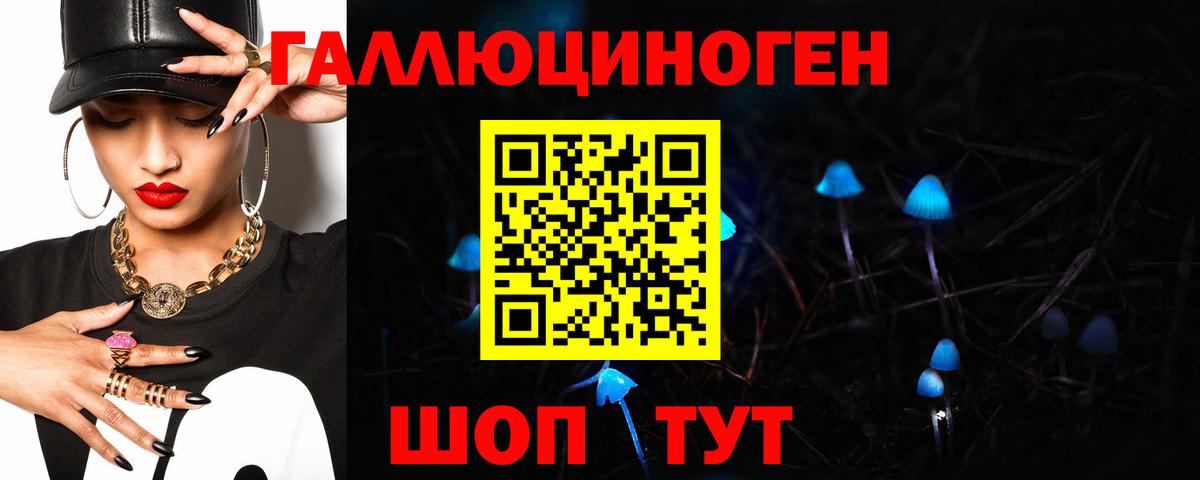 Дербент  Галлюциногенные грибы Psilocybe  Вход с VPN 