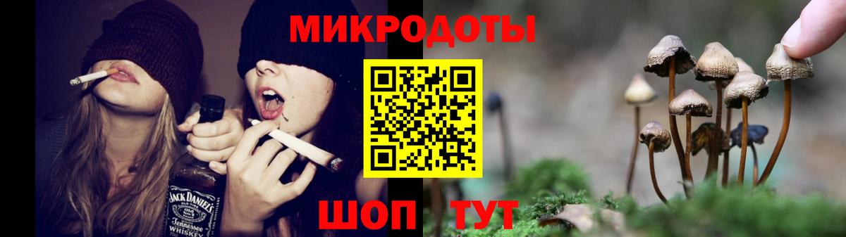 Галлюциногенные грибы GOLDEN TEACHER Дербент